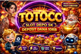 TOTOCC UI Modern